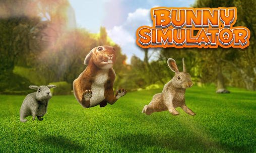game pic for Bunny simulator